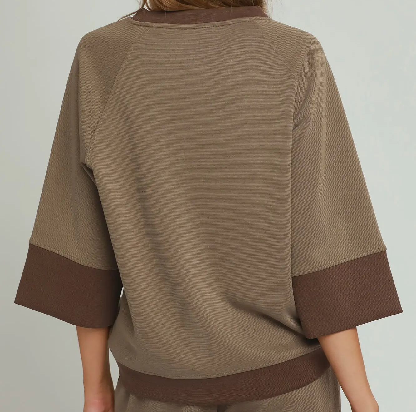 Umgee CLOUDKNIT Modal & Tencel 3/4 Raglan Sleeve Colorblock Crewneck Top