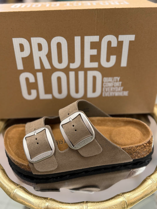 Project Cloud Taupe Suede Lurleen Slides