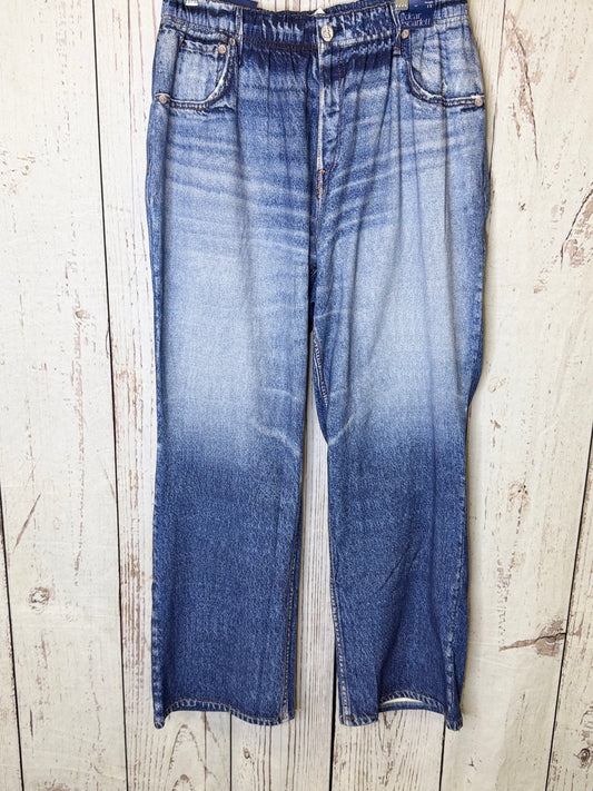 DS Classic Denim Zenim Pants