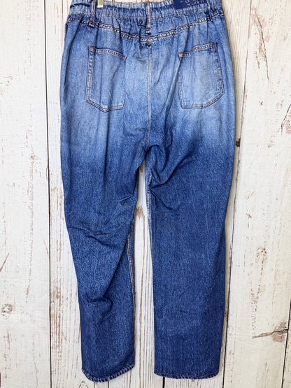 DS Classic Denim Zenim Pants